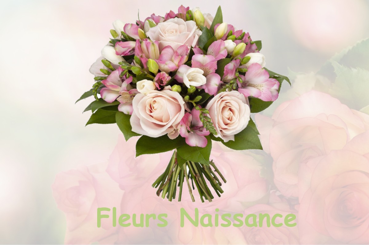 fleurs naissance CENSEAU