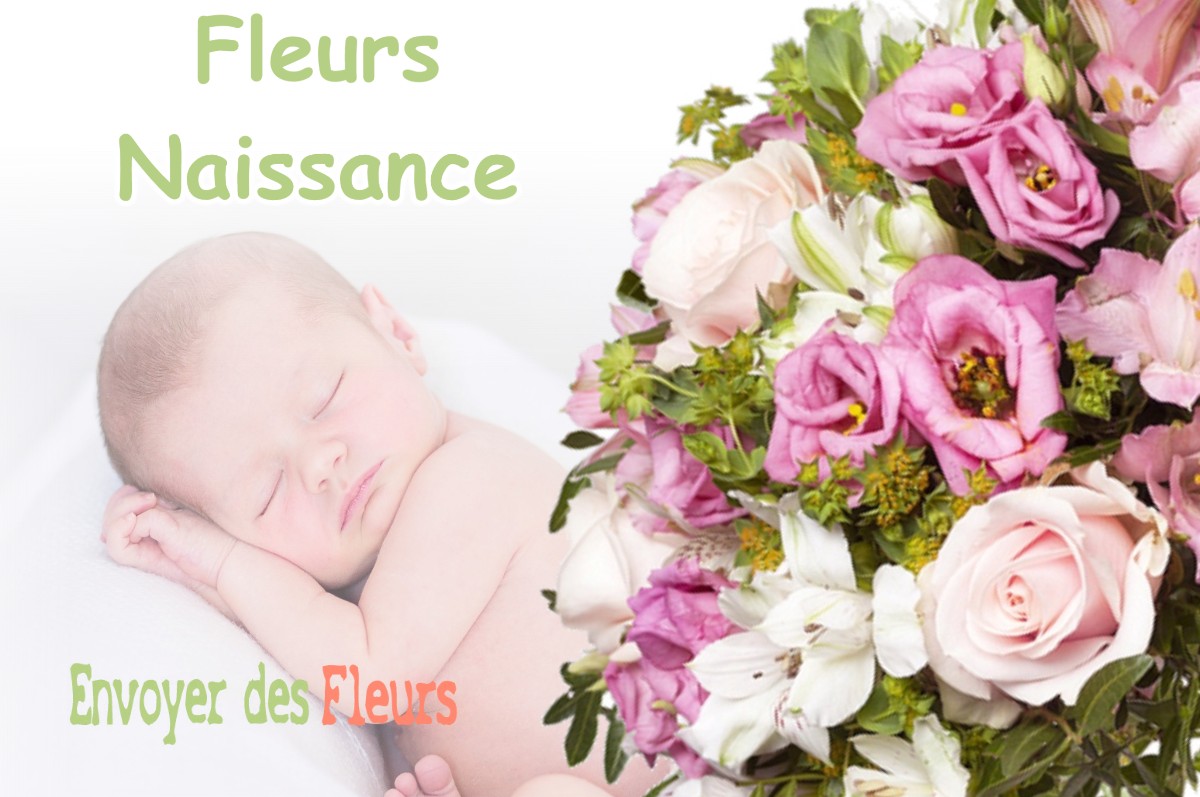 lIVRAISON FLEURS NAISSANCE à CENSEAU